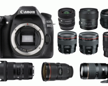 best canon semi pro dslr