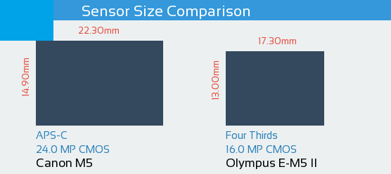 Canon M5 vs Olympus E-M5 II Sensor Comparison