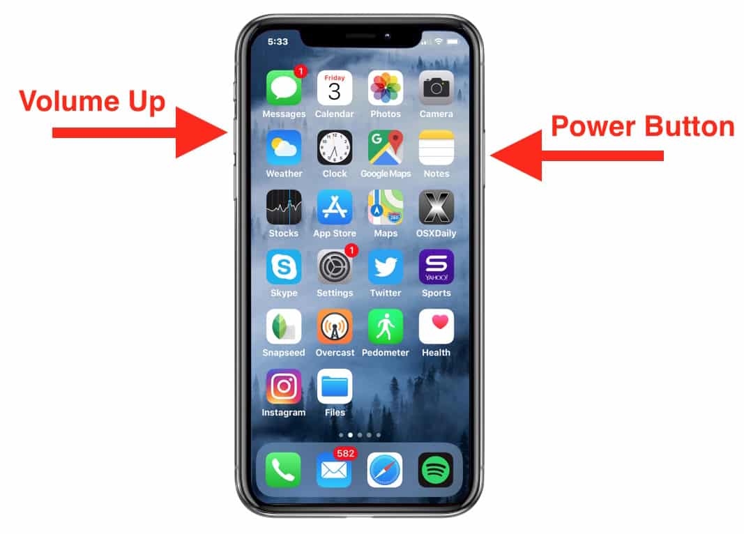 How To Take Screenshot IPhone X